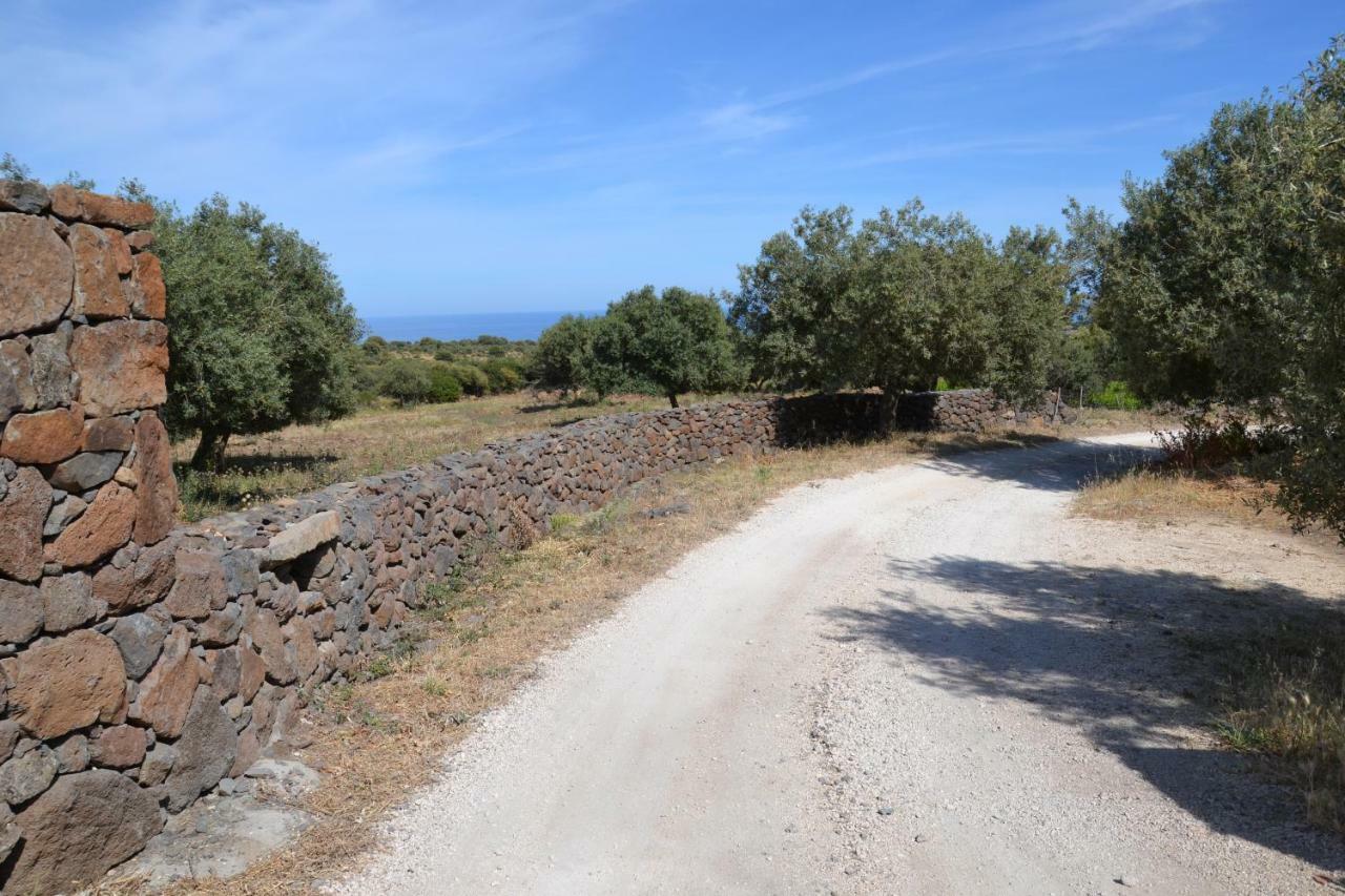 Casa Indipendente Immersa Nel Verde Con Vista Mare Dorgali Exterior photo